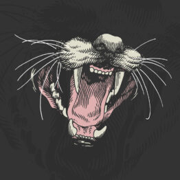 BARED TEETH MONDAY CAT