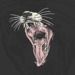 BARED TEETH MONDAY TAZ