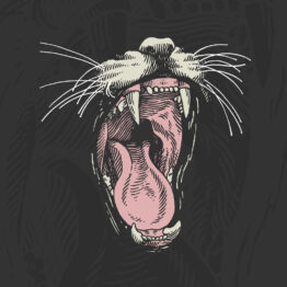 BARED TEETH MONDAY TIGER