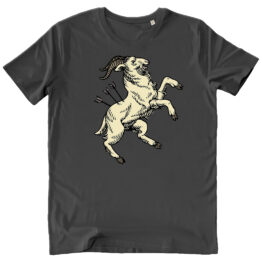 T-SHIRT UNISEX - CAPRONE antracite